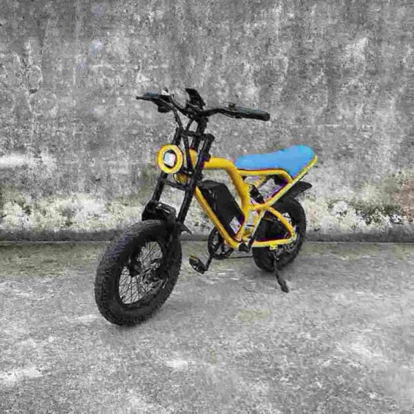 electric cargo bike factory