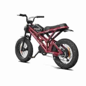 electric cycle for ladies factory