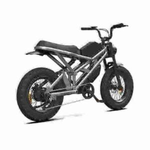 electric cycle with gear factory