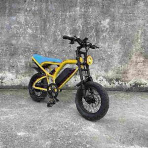 electric e bikes factory