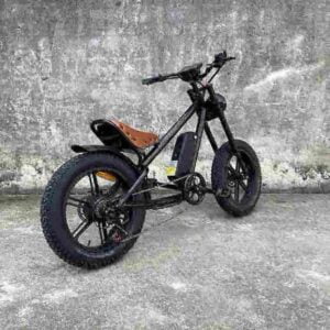 electric motors for bicycles factory