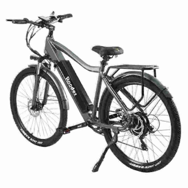 electric trike bike factory