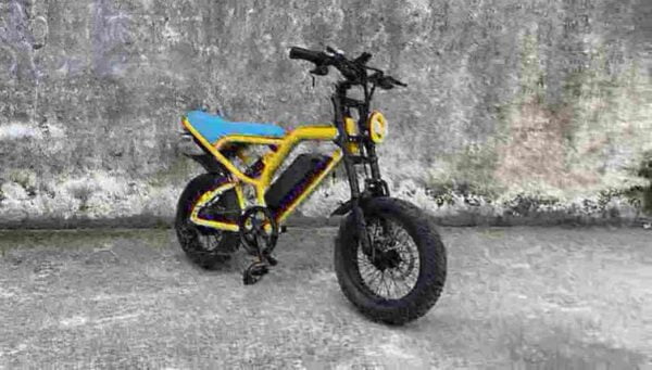 pedal assist bicycle factory