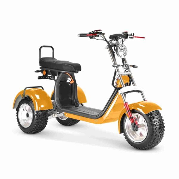 Citycoco M5 CE 2000w 3000w 4000w UK wholesale price