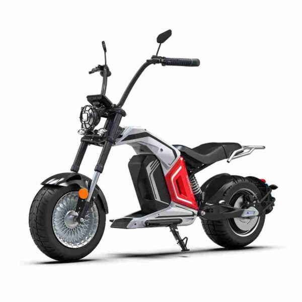 Fat Tire Citycoco CE 2000w 3000w 4000w UK wholesale price