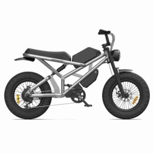 3 Wheel Citycoco CE 20ah 30ah 40ah UK wholesale price