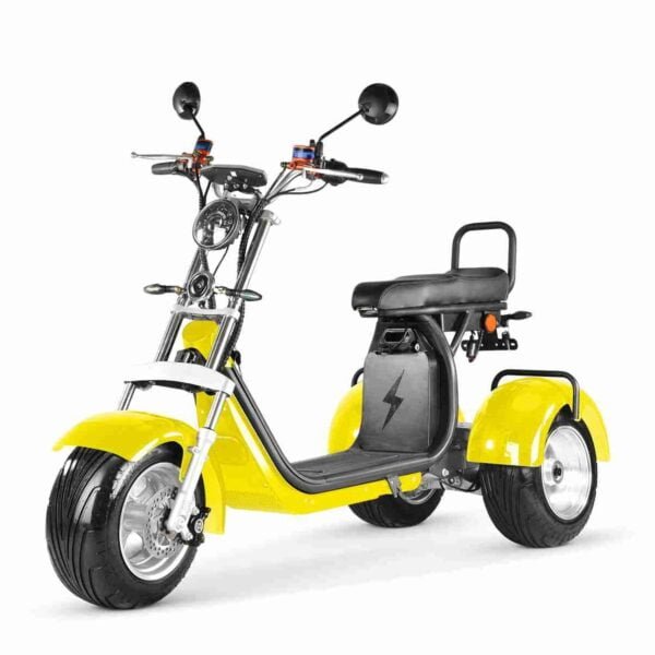 Citycoco Electric Scooter 3000w CE 12ah 20ah 30ah UK wholesale price